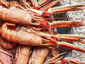 食物过敏,过敏,过敏的症状,致敏食物