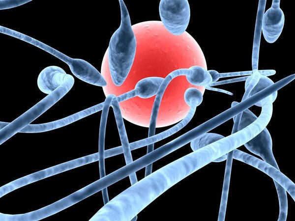 弱精症的病因及治疗方法