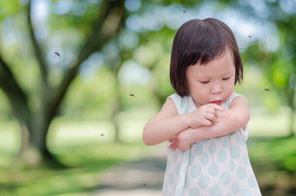 被蚊子咬了会得登革热吗