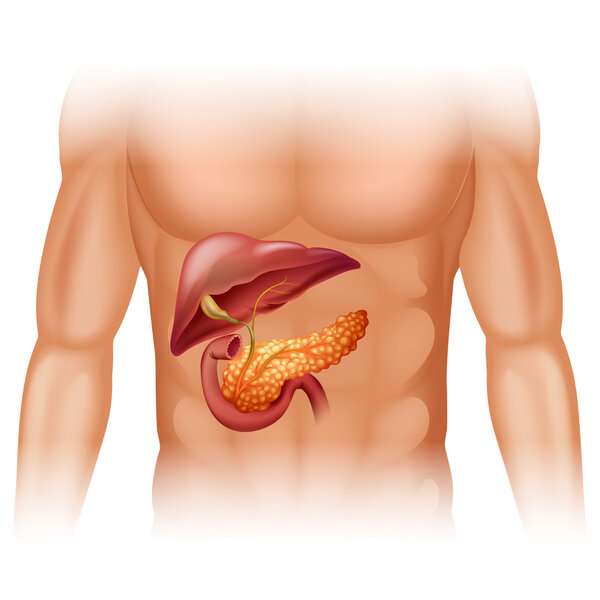 胰腺癌手术生存期