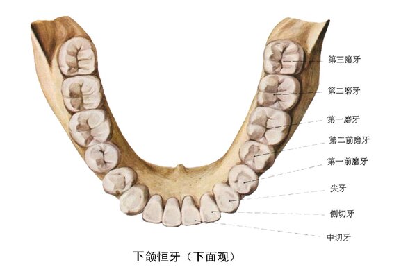 什么是下颌骨关节炎症状