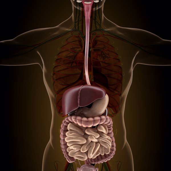 重症胰腺炎的症状和体征