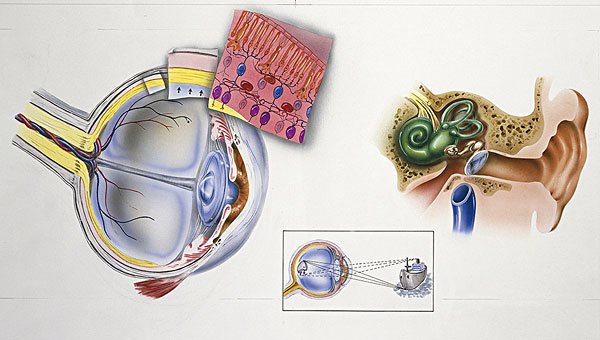 耳石眩晕症吃什么药好得快