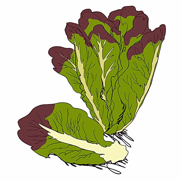甲亢可以吃麻的菜嘛女性