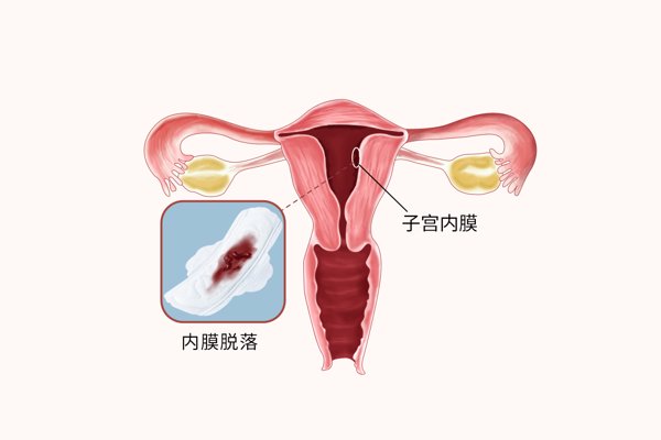 子宫内膜不均匀能移植吗