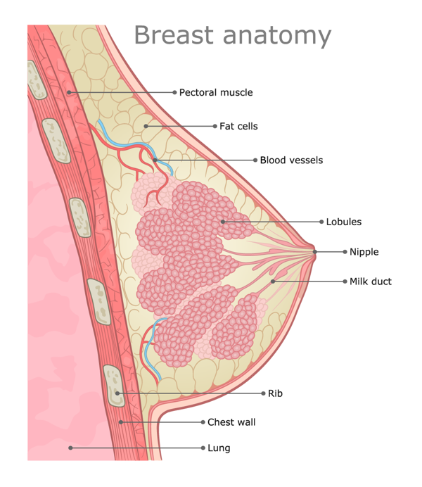 乳腺恶性5类严重吗怎么治疗