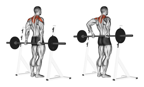 肩膀太宽了怎么办，有什么办法能让肩膀变小