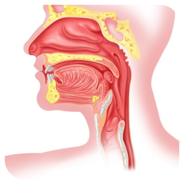 老是吐痰还有腥臭味怎么回事