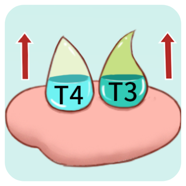 tct正常还需要做活检吗