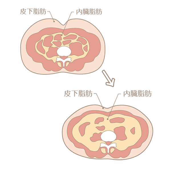 赤膜下垂是什么意思