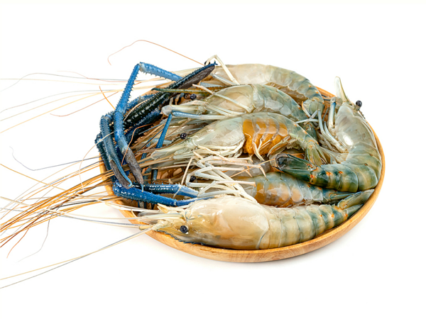 新鲜虾怎么做减肥食谱