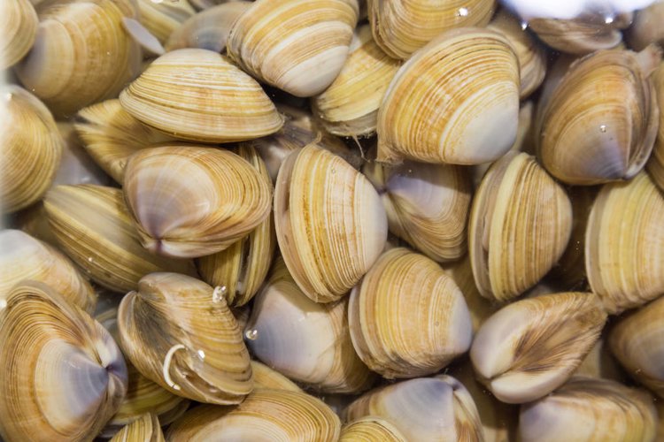 红枣、红糖不补血！提醒：真正补血的食物是这4种，别再花冤枉钱