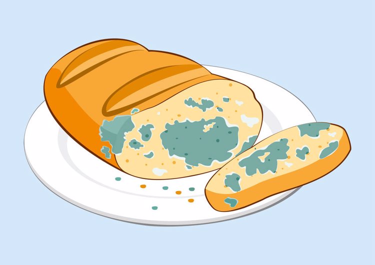 “甲醛大户”被揪出,3种蔬菜含有甲醛,有毒还致癌?告诉你真相