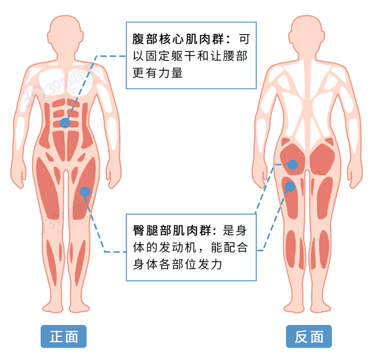 步入老年期，肌肉流失到底有多快？不想老了干瘪，最好常做3件事