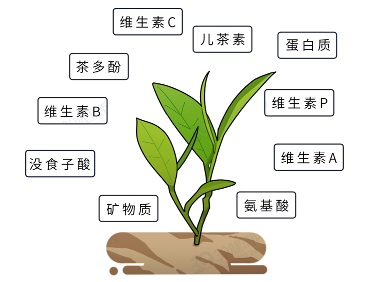 茶叶保质期有多久？放了几年的红茶、绿茶、普洱茶，还能不能喝？