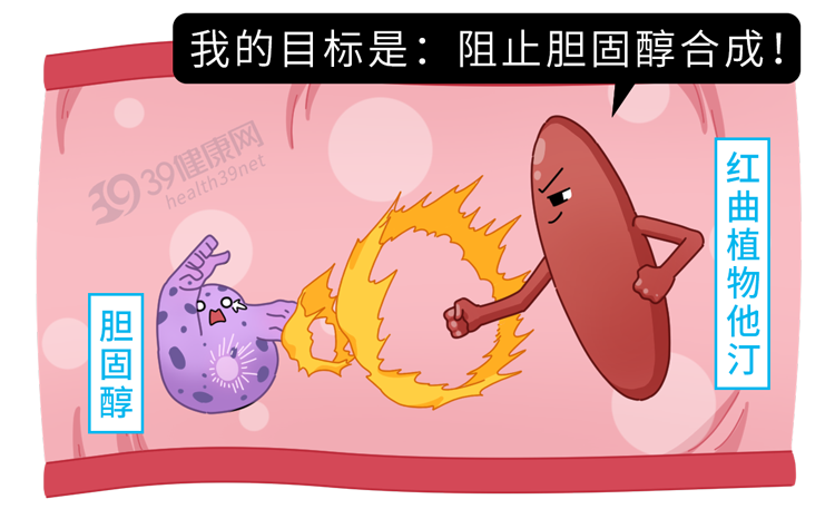 上海瑞金研究：胆固醇越低，癌症风险越高，真的吗？告诉你答案