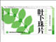 叶下珠片