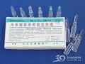 马来酸氯苯那敏注射液