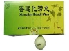 香连化滞丸