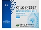 灯盏细辛颗粒